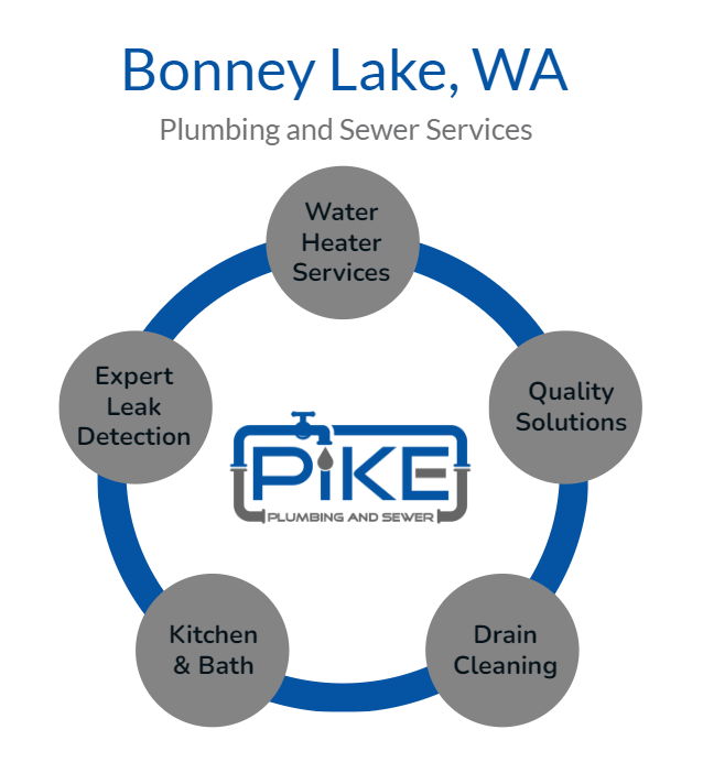 Image of Bonney Lake Plumbing Services Infographic