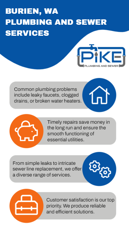 Image of Burien Washington Plumbing Services Infographic