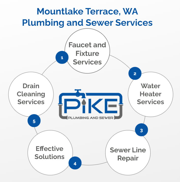 image of Mountlake Terrace Plumbing Services Infographic