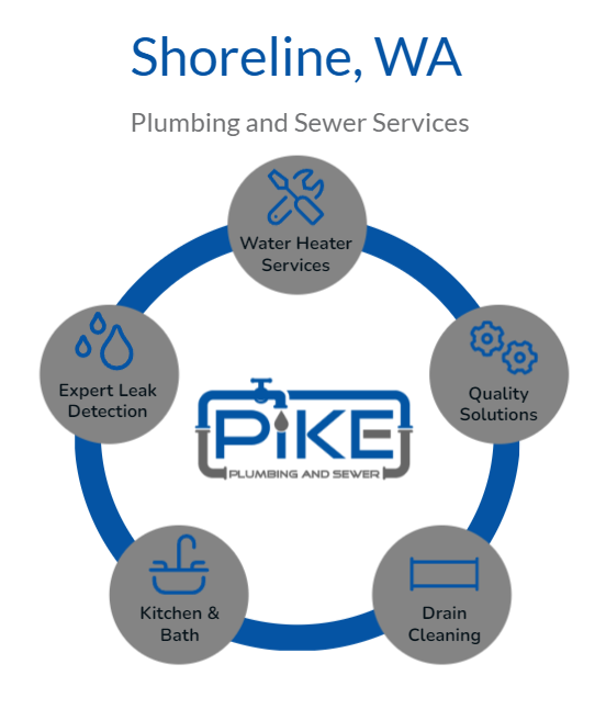 Image of Shoreline Washington Plumbing Services Infographic