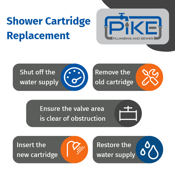 Image of Shower Cartridge Replacement Infographic