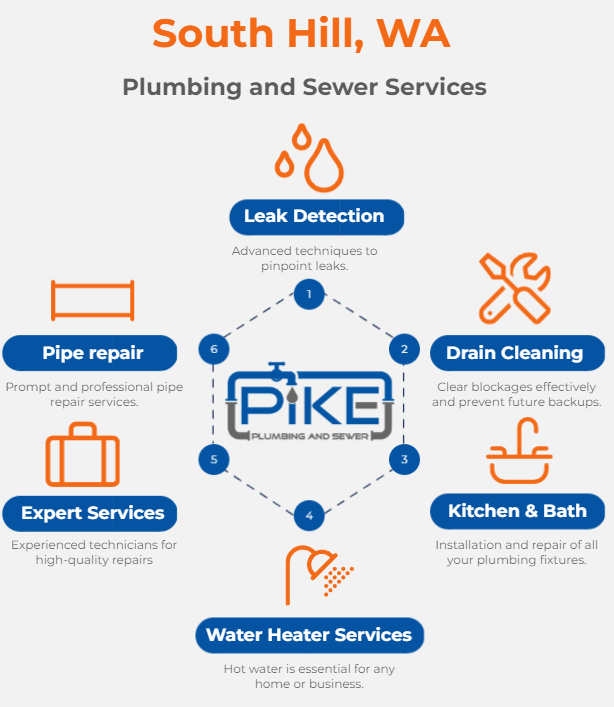 Image of South Hill Washington Plumbing Services Infographic