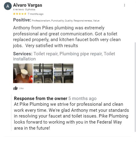 pike plumbing and sewer 5 star plumbing service reviews 2