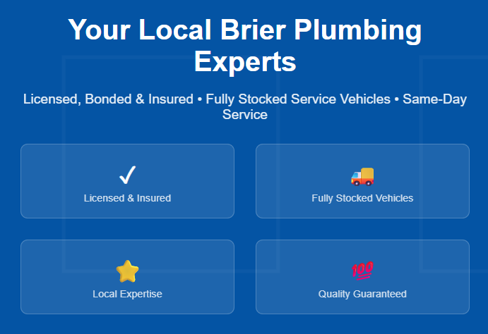 brier plumber graphic