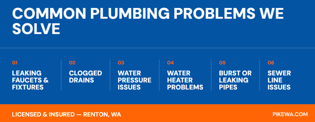 Renton Plumber Common Problems We Solve